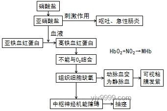 亚硝酸盐中毒案例警示：蓝色尿液背后的健康趋势与防范策略